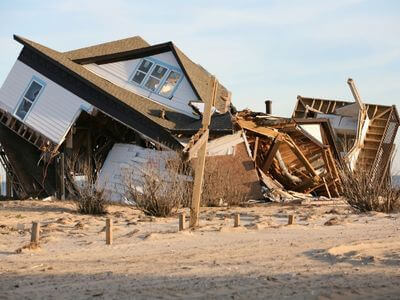 Professional Mold inspection service services in Atlanta